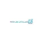 لوگو شرکت پارس پردازش چهل چشمه