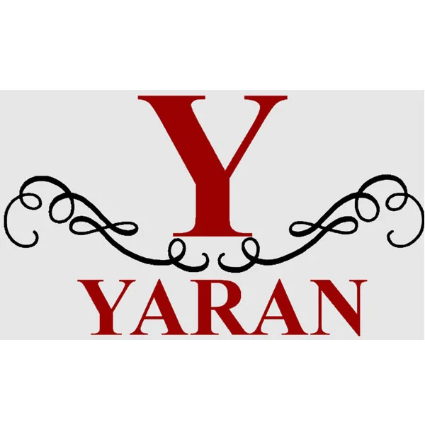 لوگو همراه یاران پایتخت