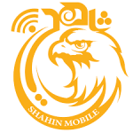 شاهین تجارت پیشرو ارس