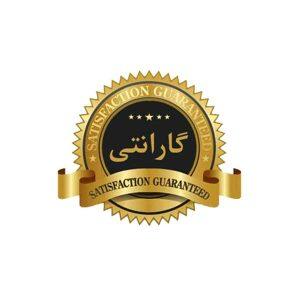 پردازش سوشیانت