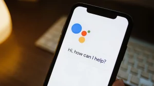 Assistant