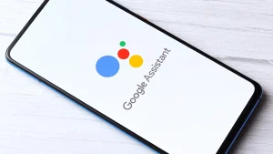 Assistant