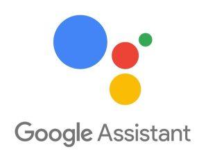 Assistant