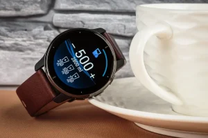 Garmin