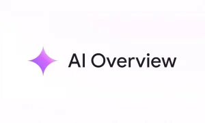 AI Overview